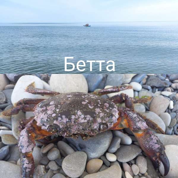 Объект
