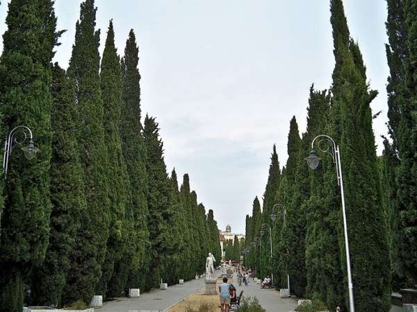 Гостиница «Вилла «Куршавель»