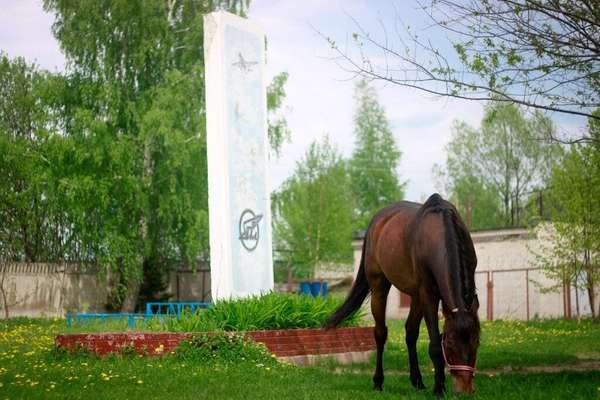 Объект