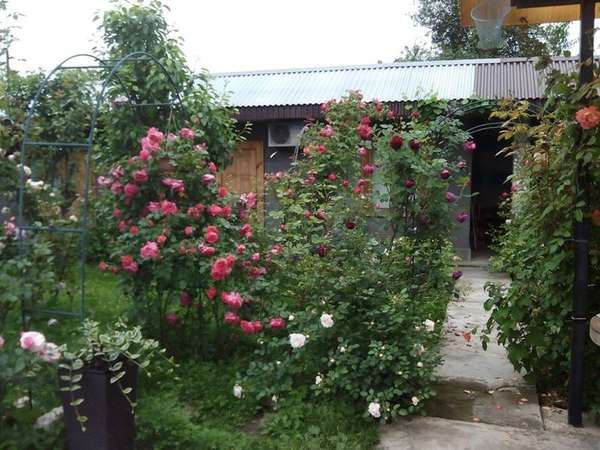 Объект