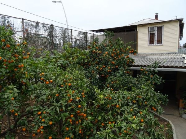 Частный сектор на Ардзинба 242