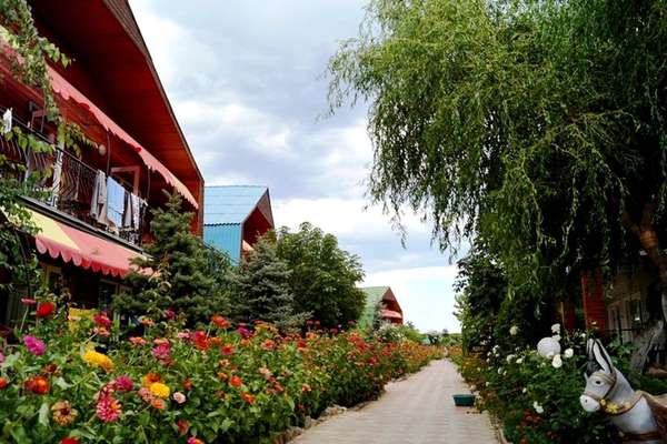 База отдыха «Папая»