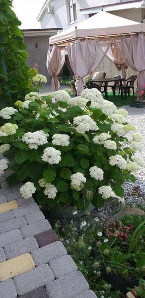 Дом «Marina Garden»