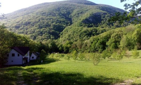 Оздоровительный центр «Живой Родник»