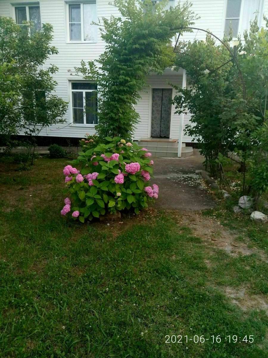 «У ЛУКИЧА»