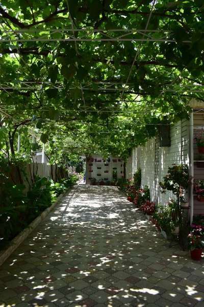 Объект