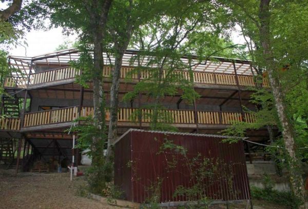 Частный сектор «Дом в лесу»