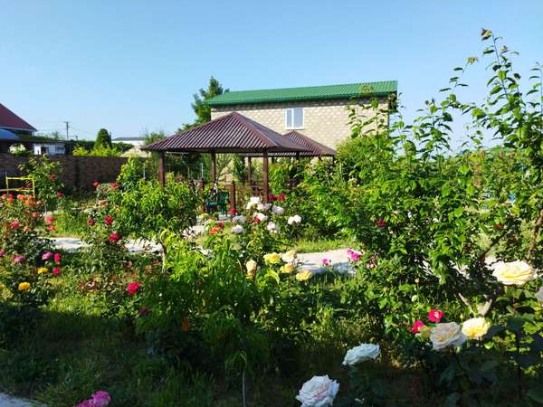 Объект