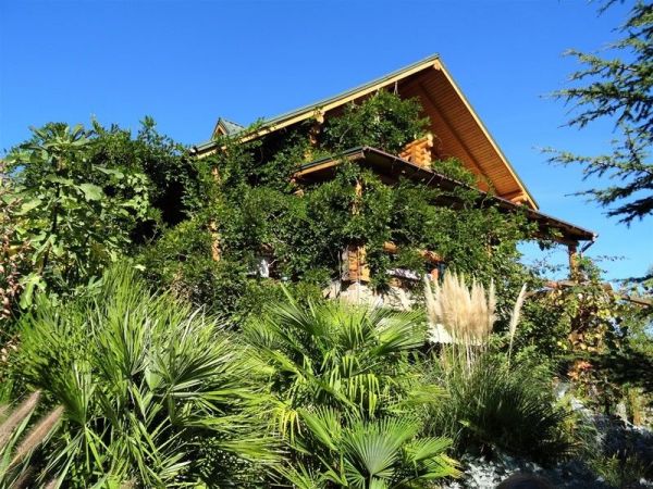 Сруб «Добрыня»