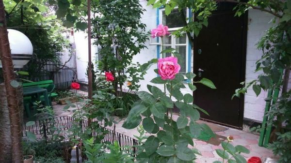 Домик у Нарзана на 2 гостя