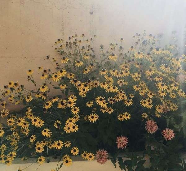 Объект