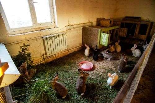 Объект