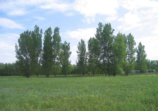 База отдыха «Казачий хутор»