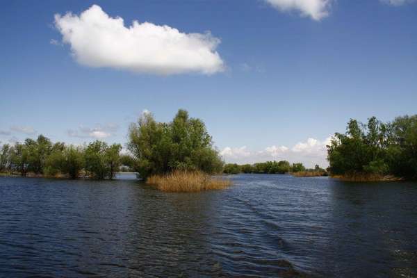 Объект