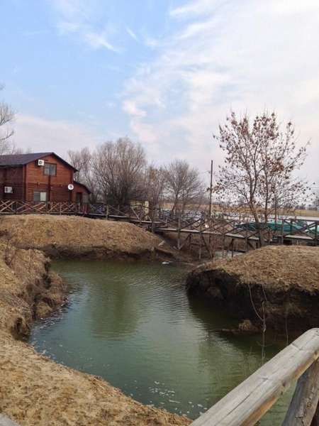 Гостевой дом рыбака и охотника «Олигри Fish»