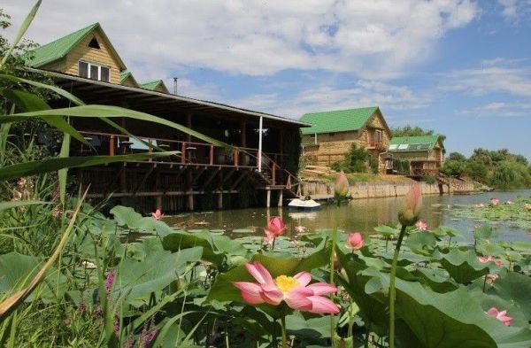 База «Ольга»