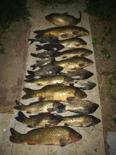 Объект