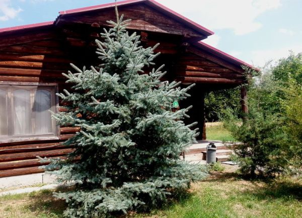 База отдыха «Рыбалкино»