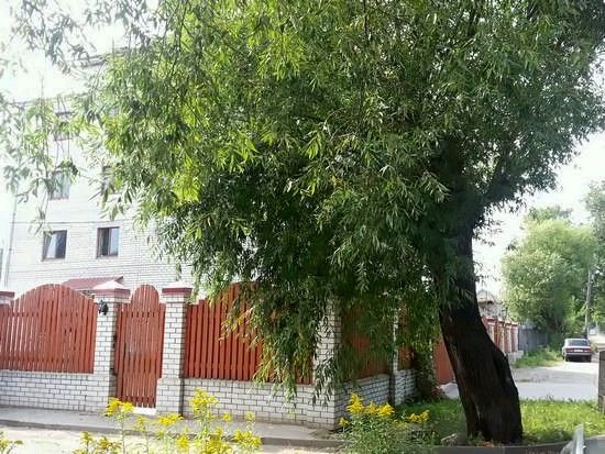 Гостевой дом «Два крыла»