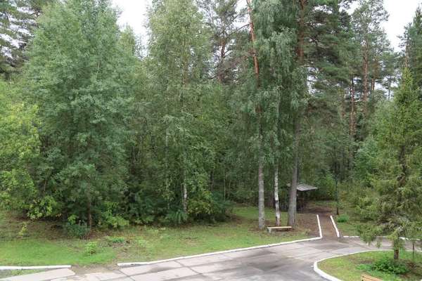Гостиница «Парашютист»