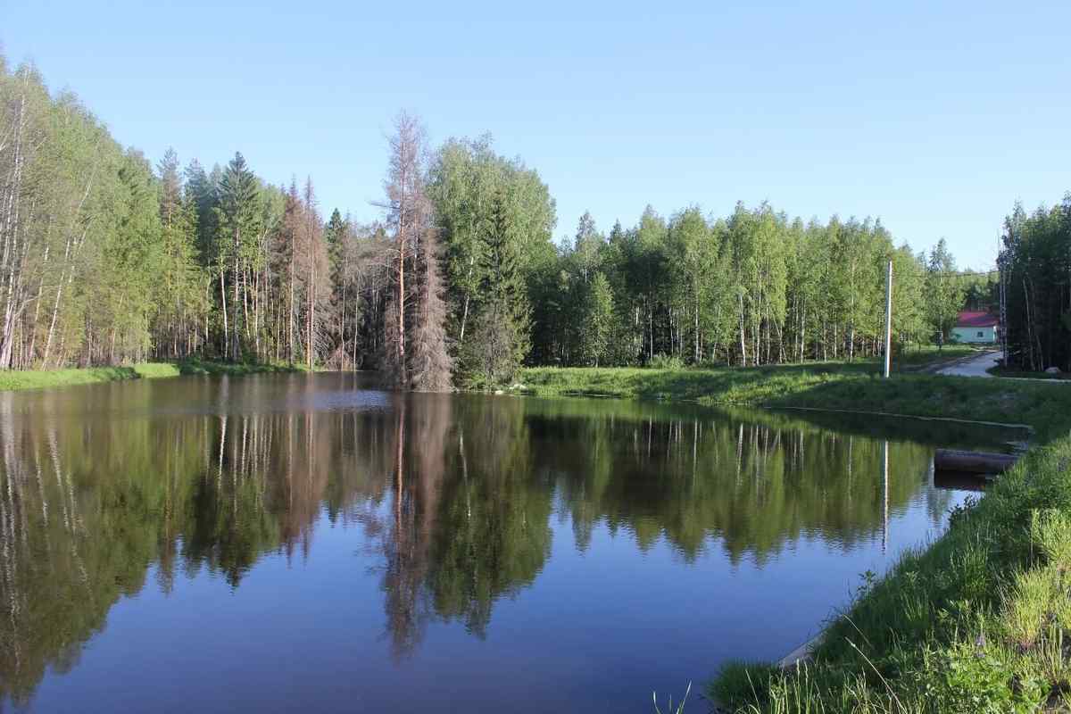 База отдыха «Исток»