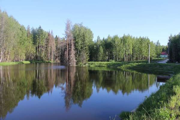 Объект
