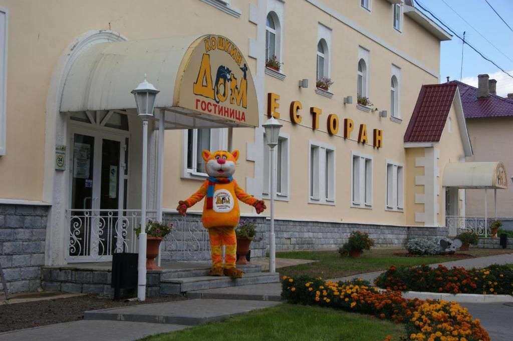 Гостиница «Кошкин дом»