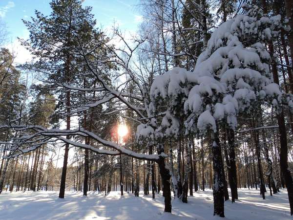 Объект