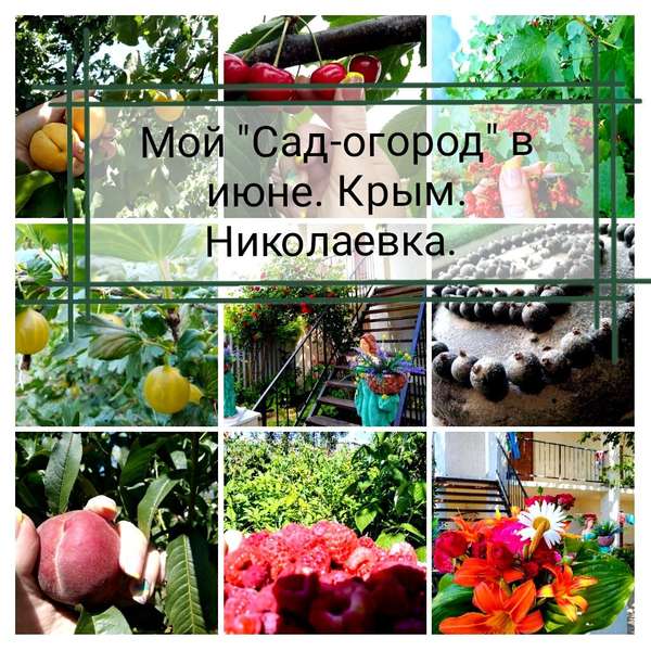 Объект