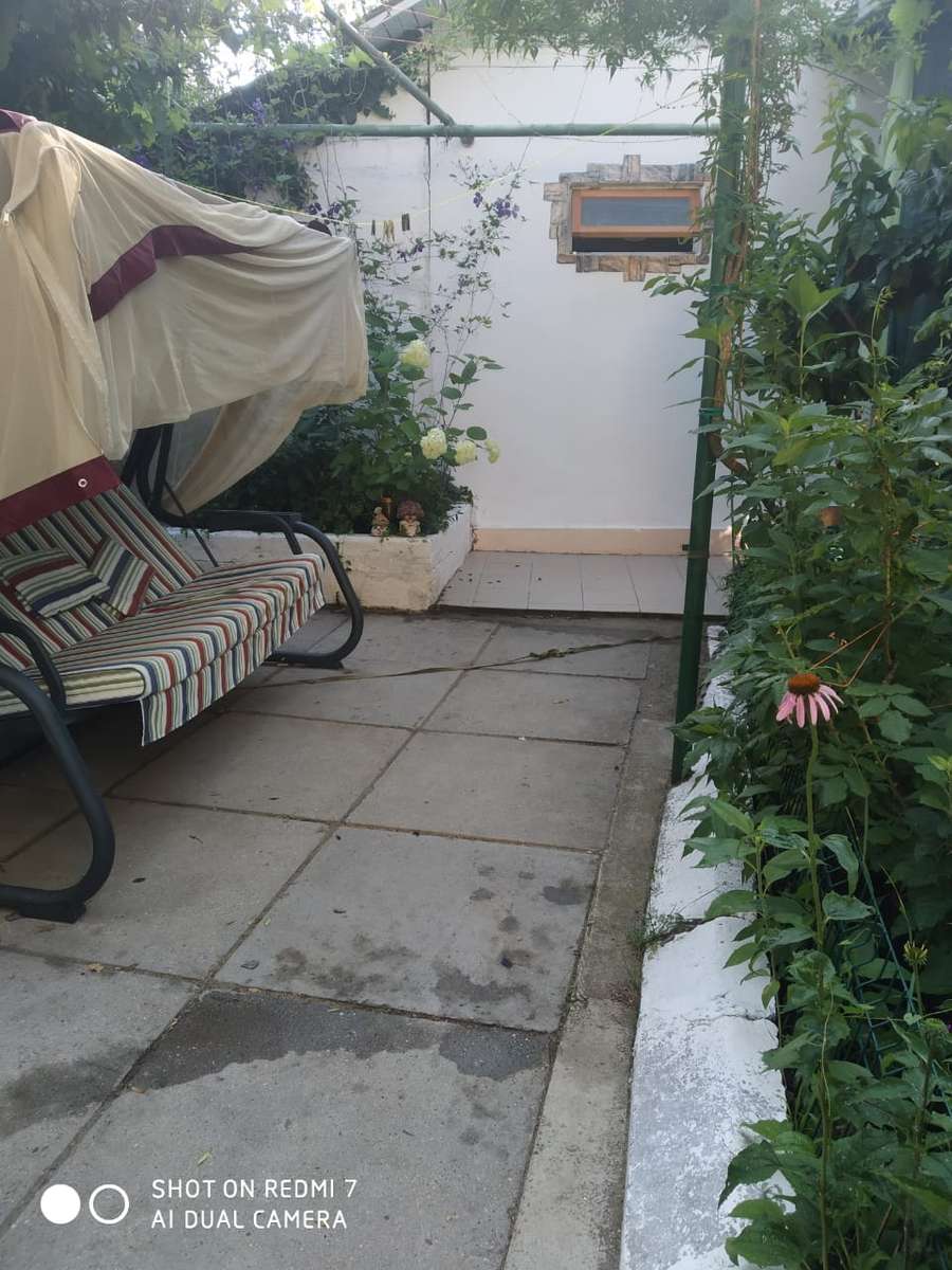 Деревенский домик в лесу