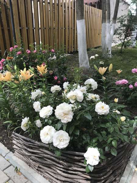 Объект