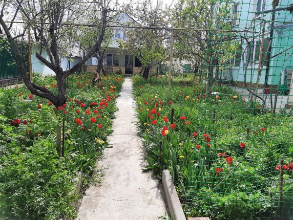 Мини апарт-отель «Тамара»