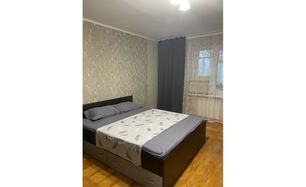 Однокомнатная квартира на Пушкина
