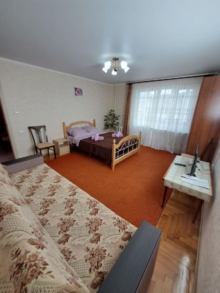 1-комнатная квартира в центре с видом на парк
