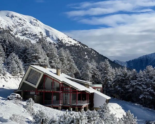 Гостевой дом «1950»