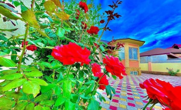 Огромный дом для большой семьи