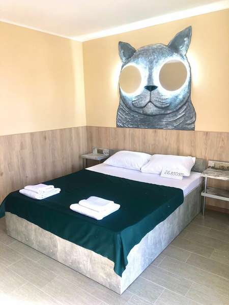3х местный полулюкс «THE CAT»