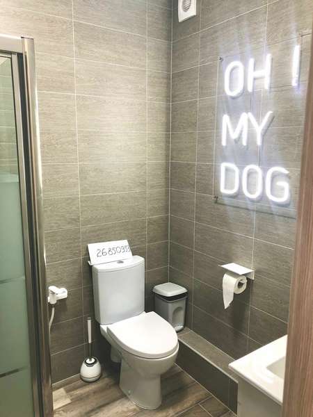 3х местный полулюкс «THE DOG»