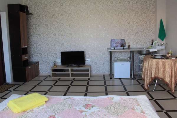 Студия на 1 этаже с кухней