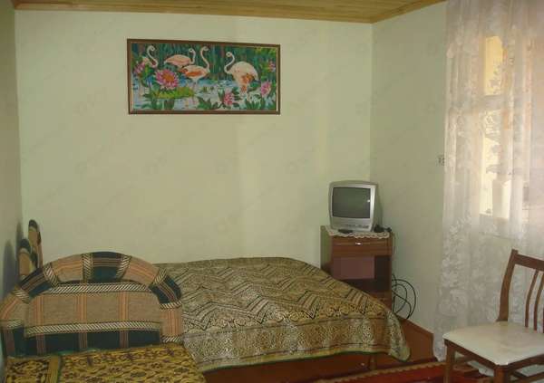 Фламинго
